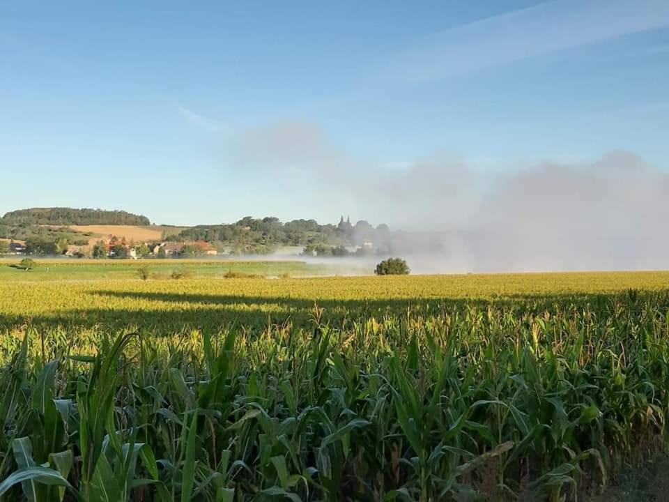 Reiterhof Schmidt, Gaststaette & Pension Golk Exteriör bild